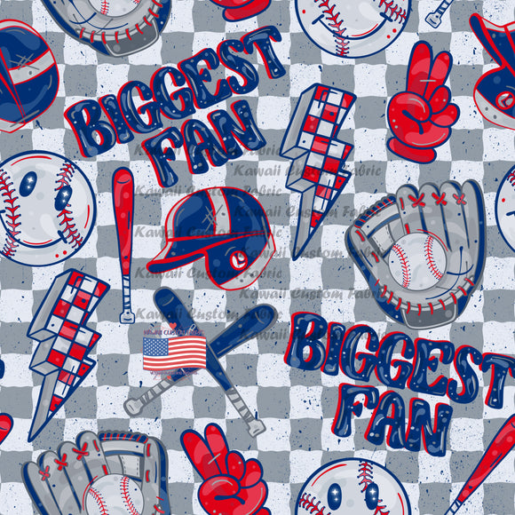 KE212 - Baseball Biggest Fan